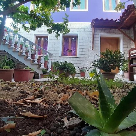 Guesthouse Hlias Gloria Берат Екстериор снимка