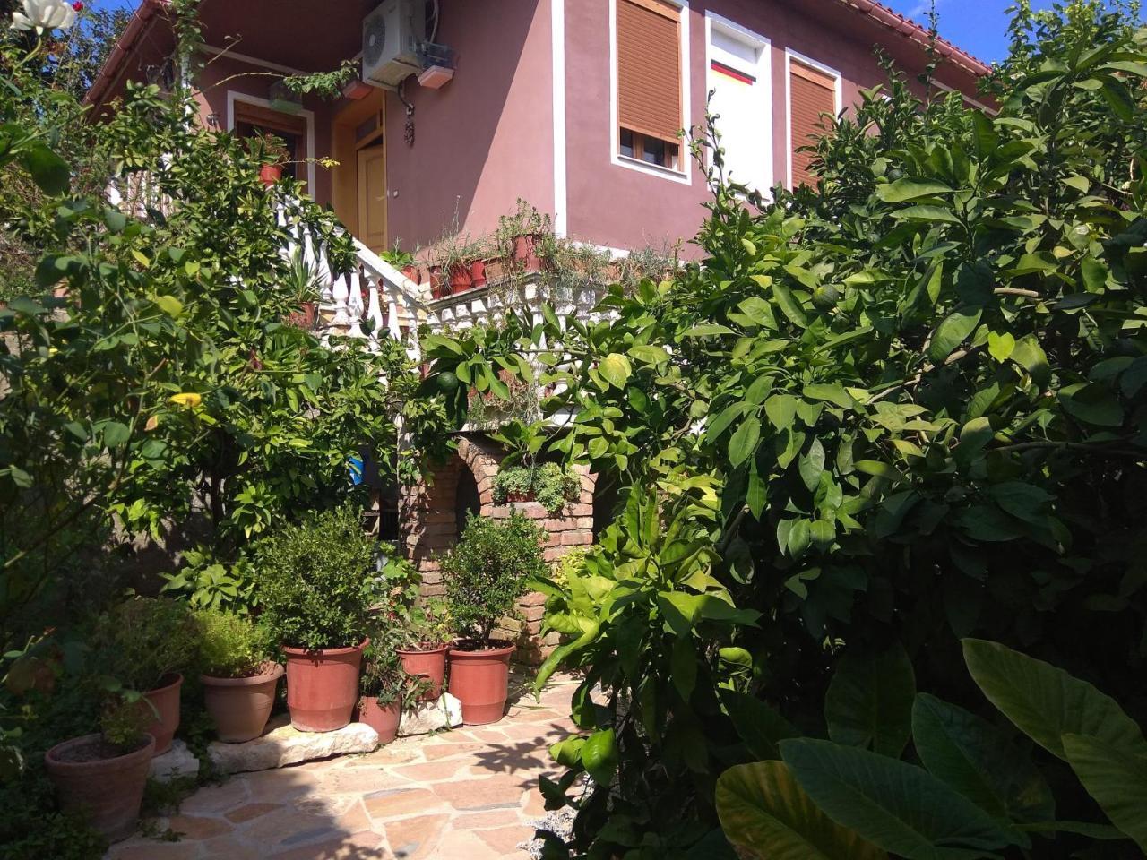 Guesthouse Hlias Gloria Берат Екстериор снимка